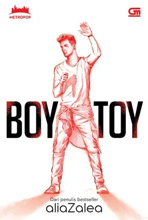 Boy Toy