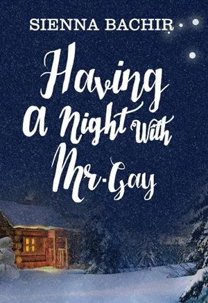 Having a Night with Mr. Gay