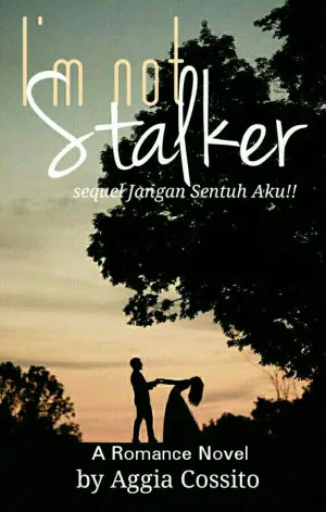 I’m Not Stalker
