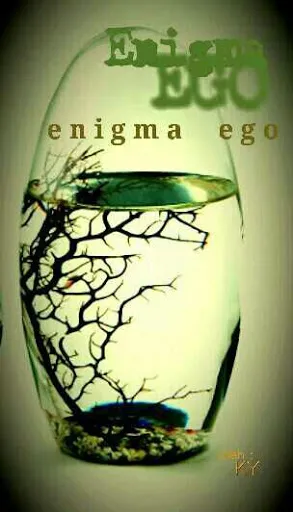 Enigma Ego