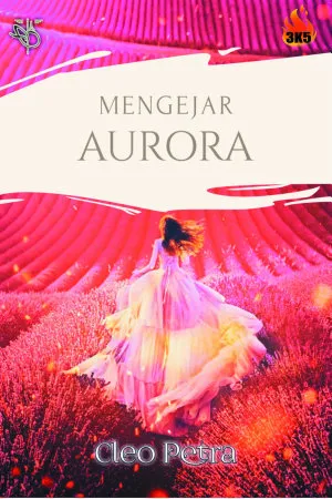 Mengejar Aurora