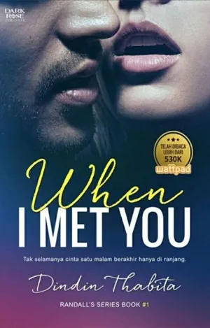 When I Met You