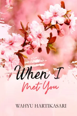 When I Met You
