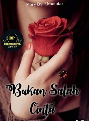 Bukan Salah Cinta