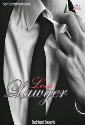 Love Lawyer
