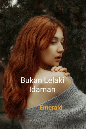 Bukan Lelaki Idaman