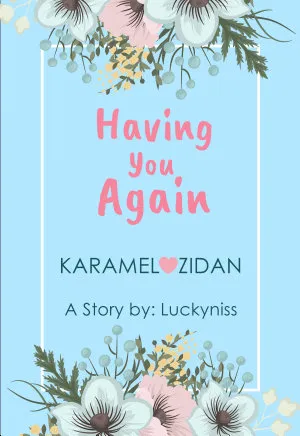 Having You Again