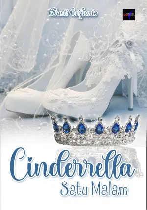 Cinderella Satu Malam