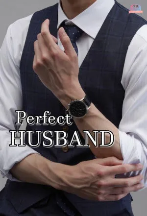 Perfect Husband