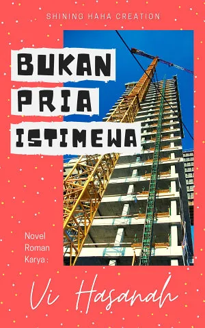 Bukan Pria Istimewa