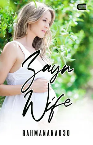 Zayn Wife