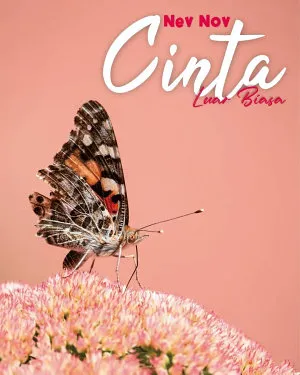 Cinta Luar Biasa