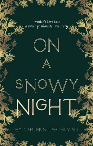 On a Snowy Night
