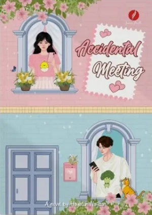 Accidental Meeting