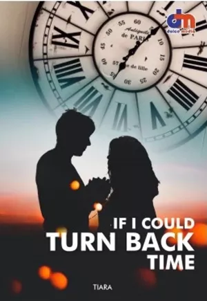 If I Could Turn Back Time