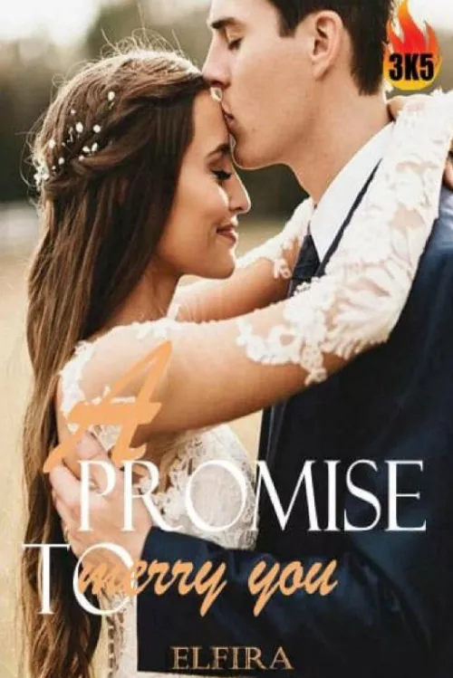 A Promise to Marry You