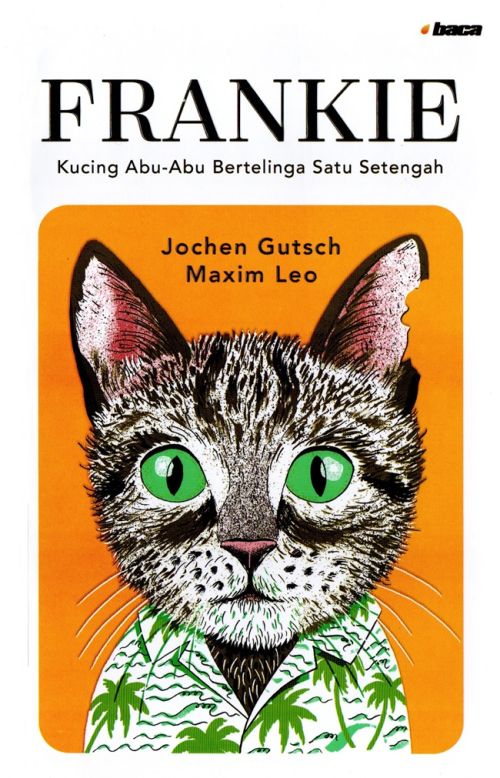 Frankie: Kucing Abu-Abu Bertelinga Satu Setengah