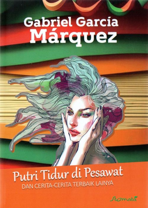 Putri Tidur di Pesawat