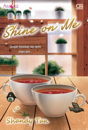 Shine on Me by Shandy Tan