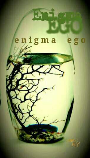 Enigma Ego By K.y.