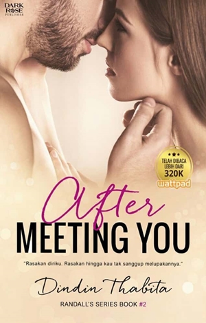 After Meeting You By Dindin Thabita