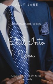 Still Into You By Ally Jane