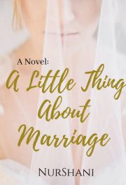 A Little Thing About Marriage By Nurshani