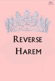 Reverse Harem By Debi Maulida