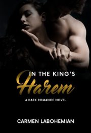 In The King's Harem By Carmen Labohemian
