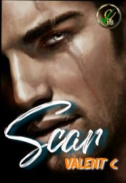 Scar By Valent C