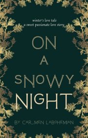 On A Snowy Night By Carmen Labohemian