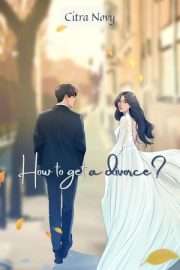 How To Get A Divorce By Citra Novy