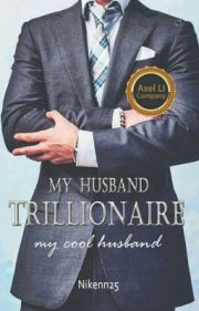My Husband Trillionaire By Niken25